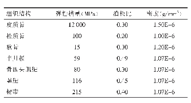 表1 膝关节主要实体结构的材料属性[5-6]