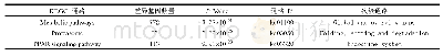 《表5 差异表达基因富集最显著的前20个KEGG通路》