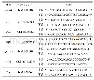 表1 荧光定量PCR所用引物序列