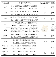 表1 qPCR引物及程序