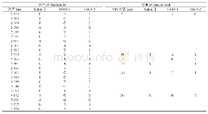 《表2 CHN19019-1、CHN19019-2株与SabinⅡ株比较VP1区核苷酸和氨基酸变异位置》