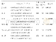 《表1 扩增β-actin、IL-6、IL-8、NF-κB、MHC-Ⅱ、IL-10基因的引物信息》