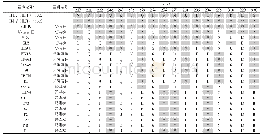 表2 IBDV VP2基因高变区特征性氨基酸比对