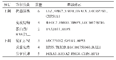 表6 差异蛋白的功能分类