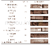 表1 老挝固体钾盐矿床典型地层特征简化