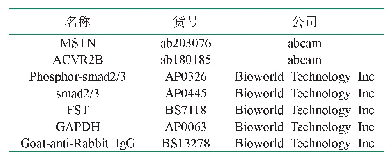 《表2 抗体信息：脂肪间充质干细胞注射对离心运动大鼠肌肉修复中肌肉抑制素信号通路的影响机制》