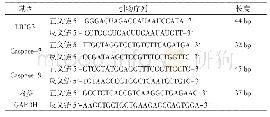 表1 目的基因的引物序列
