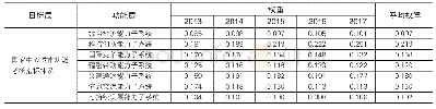 《表2 国家中心城市功能考核评价指标各子系统权重表》