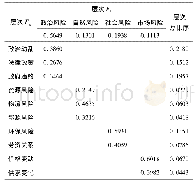 表6 利比里亚某铁矿投资风险评价因素层次总排序结果表