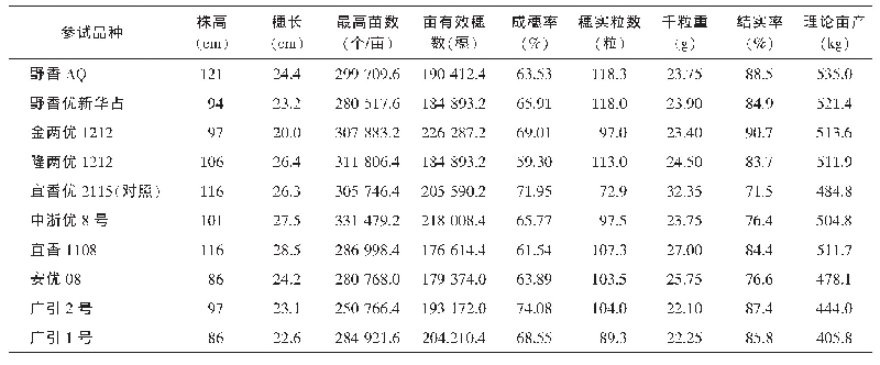 表2 贵州锦屏半机械直播不同品种水稻的生长性状及经济性状