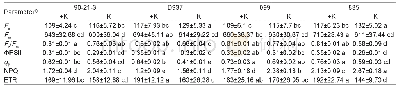 《Table 5 Chlorophyll fluorescence in 90-21-3, D937, 099, and 835 grown under control and potassium d