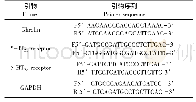 《表1 实时PCR引物序列》