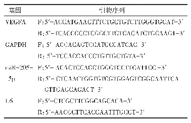 《表1 RT-q PCR的引物序列》