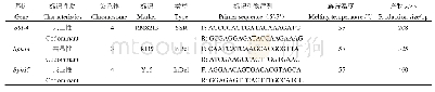 表1 水稻褐飞虱与白背飞虱抗性基因连锁标记及引物序列