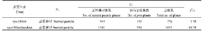 表3 vpa1中穗顶端退化性状的遗传分析