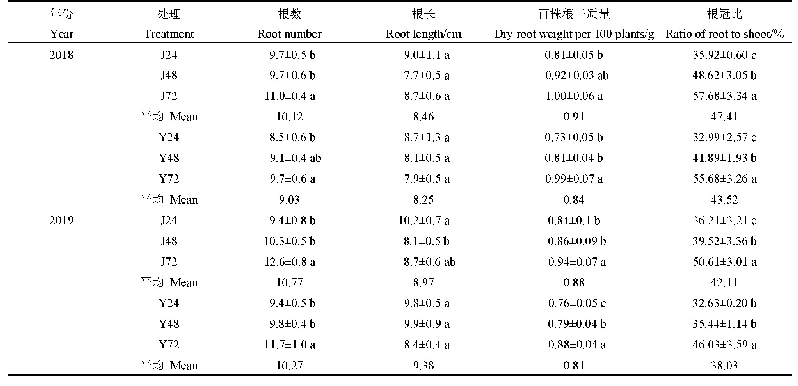 表2 水分处理对秧苗根系的影响