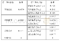 表2 评价指标综合权重表