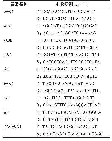 表2 RT-PCR所使用的引物序列