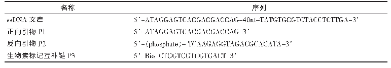 表1 本研究用DNA序列