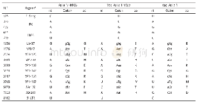 《表1 Asia 1/HN/06、Vac-Asia 1及Vac-Asia 1-VDLV全基因组比较》