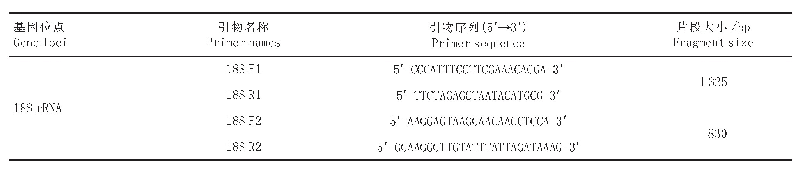 表1 巢式PCR扩增隐孢子虫引物