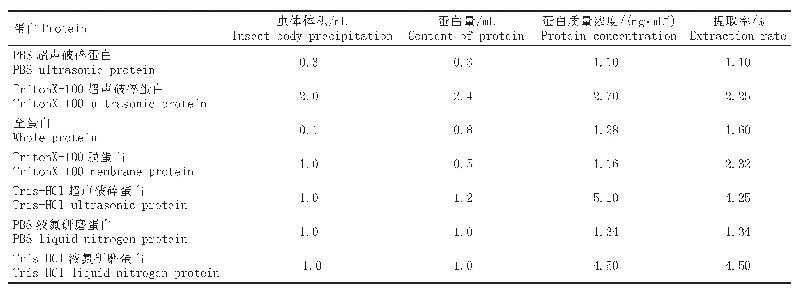 表1 蛋白提取及含量检测结果
