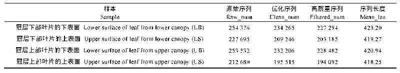 表2 不同冠层位置桑叶叶片上下表面细菌序列长度统计表