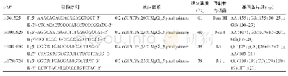 表1 TNF-α序列聚合酶链反应扩增条件