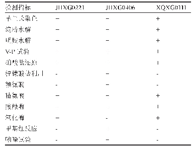 表3 拮抗菌株的生理生化特征