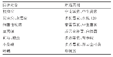 表1 菜豆主要病虫生物农药防治方法