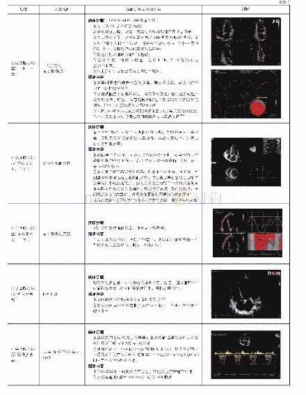 《表2 超声心动图标准切面、测量指标、操作步骤和观测内容*》