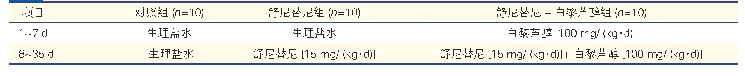 表1 各组大鼠具体给药方案