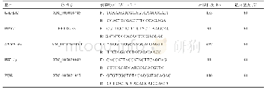 《表2 检测基因的引物序列》