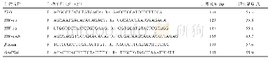 表2 牦牛EPO、HIF-1α、HIF-3α和HIF-1AN基因q RT-PCR引物