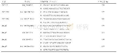 表2 实时荧光定量PCR引物信息