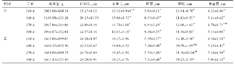 《表1 乌蒙凤鸡的体尺测定结果》