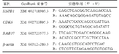 《表1 RT-PCR引物信息》