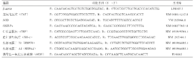 表2 肝脏抗氧化相关基因Real-time PCR引物序列