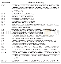 《表1 引物序列：表达狂犬病病毒G蛋白重组犬瘟热病毒Snyder Hill株的构建及鉴定》