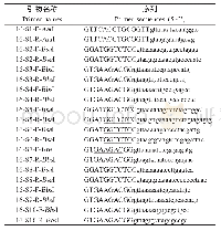 《表1 扩增BTV-16基因组所用引物》