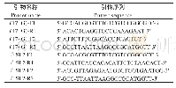 表1 本研究所用引物序列