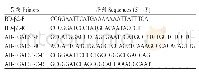 表1 实验所用引物：猪源A型产气荚膜梭菌β2毒素与宿主细胞互作蛋白的筛选鉴定