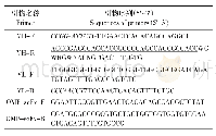 表1 欧洲鳗鲡抗体VH、VL段及scFv目的基因片段扩增引物