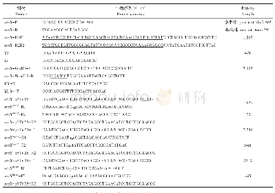 表1 本研究所用的引物序列