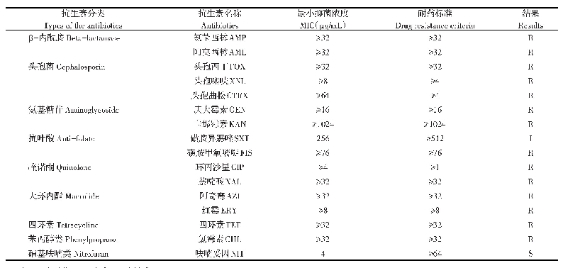 表2 E.coli JL05 MIC的测定结果