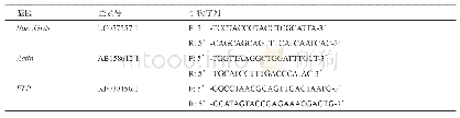 表1 外源基因表达量分析的引物序列