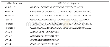 表1 构建侵染性克隆和接种植物DNA-A和DNA-β检测所用引物