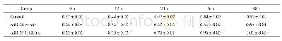 表1 miR-24对A549细胞增殖的影响 (, n=3) -Tab.1 Effect of miR-24 on the proliferation of A549 cells (, n=3)