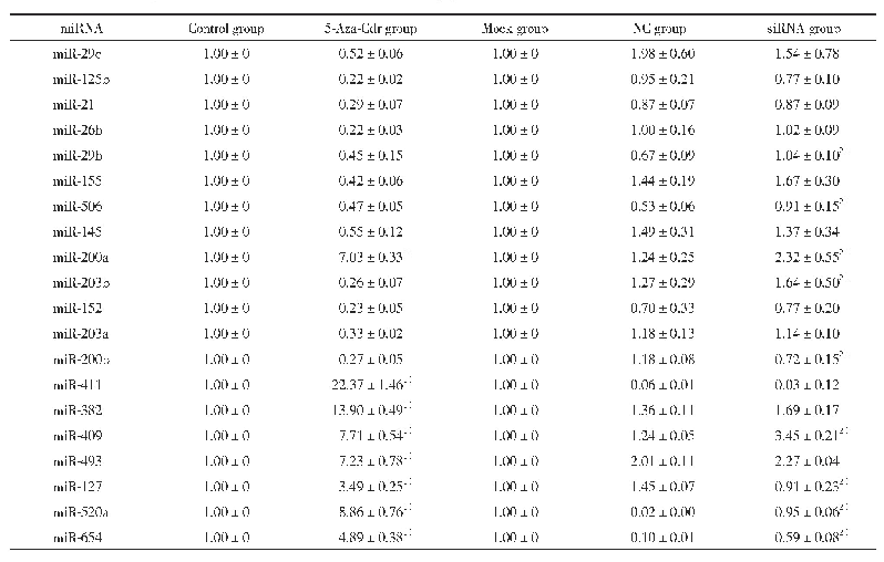 表6 5-Aza-Cd R处理及Dnmt3b si RNA干扰后mi RNA的表达