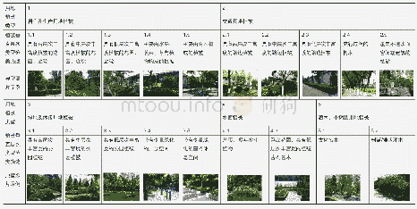 表3 用地植被类型(LVT)和植被层次类型(VLST)分类